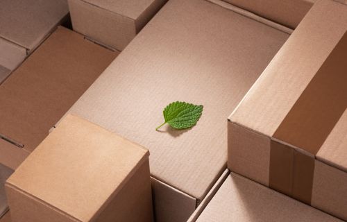 An image with a green leaf and delivery boxes. It is meant to represent sustainable logistical practices.