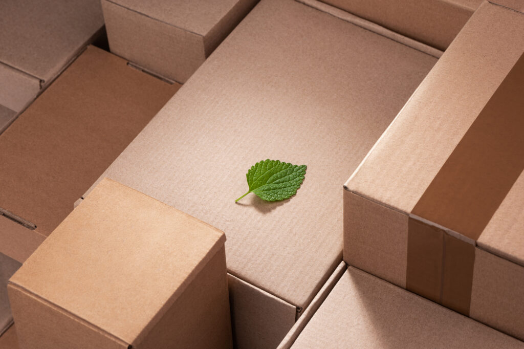 An image with a green leaf and delivery boxes. It is meant to represent sustainable logistical practices.